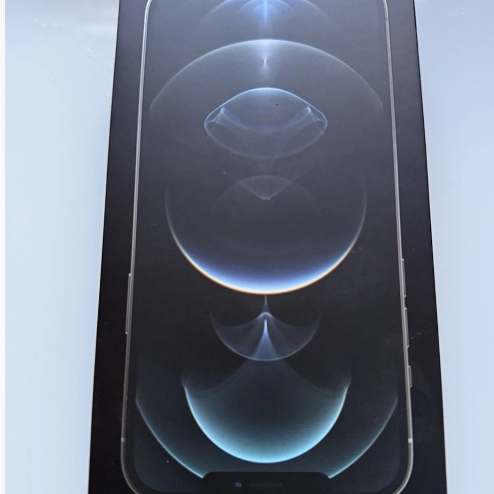 Apple iPhone 12 Pro Max in Sleek Silver